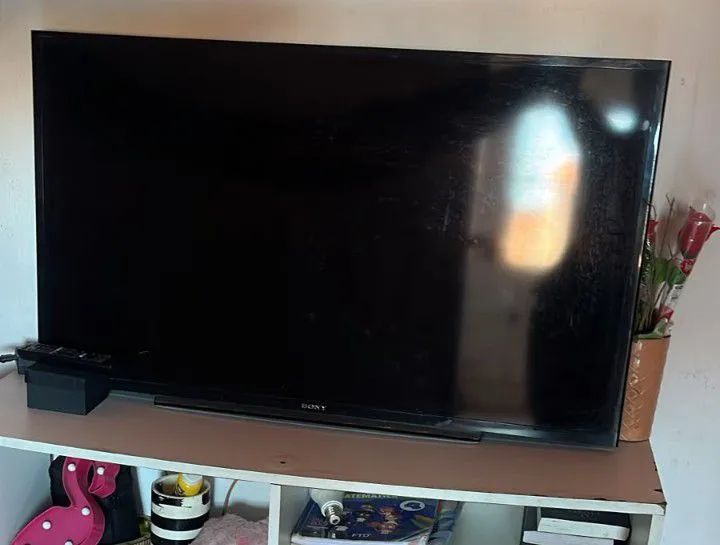 Televisão 