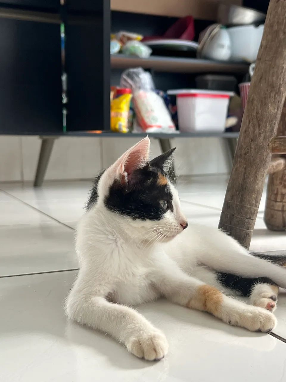 Doação Responsável 