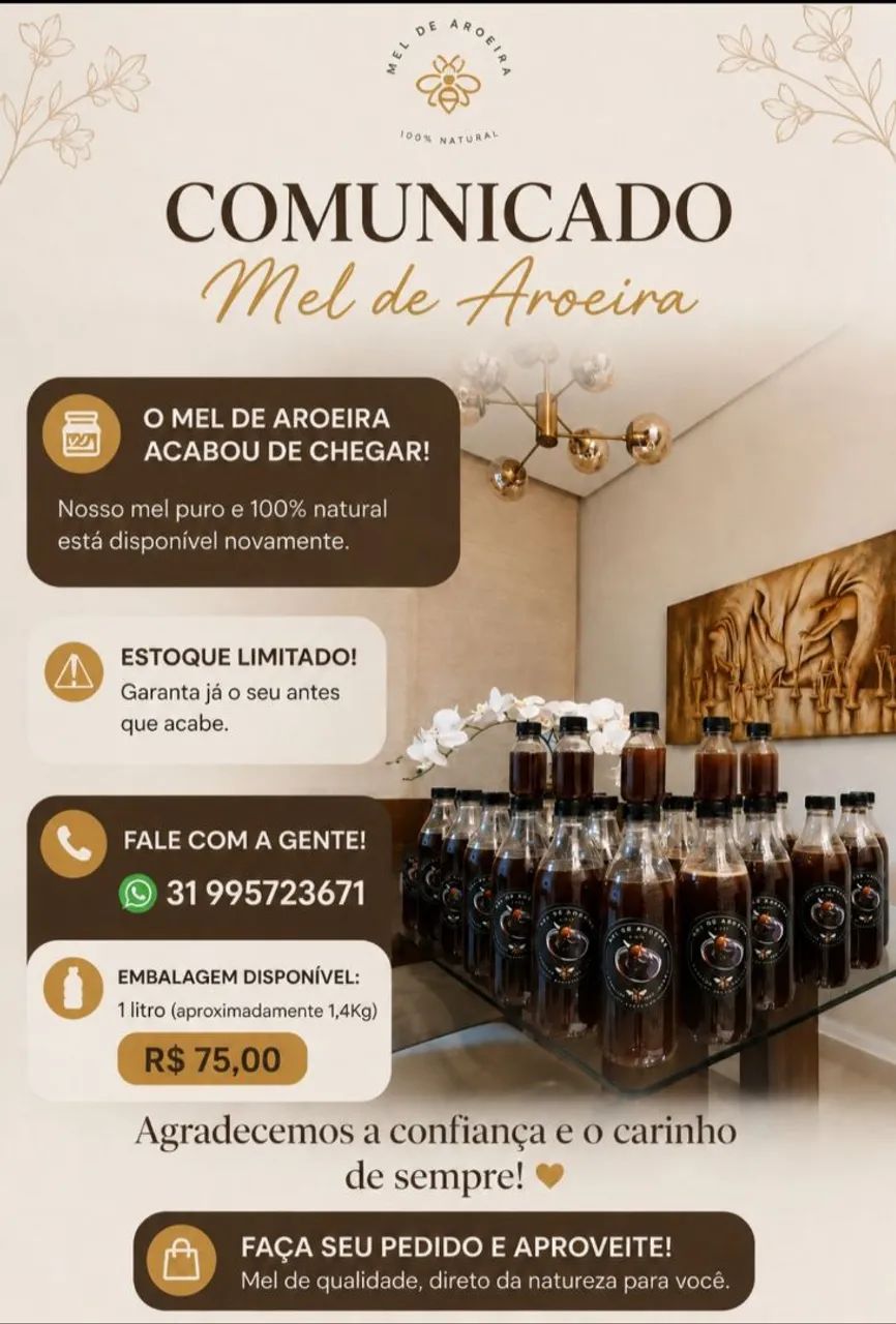 Mel florada de Aroeira 100% puro