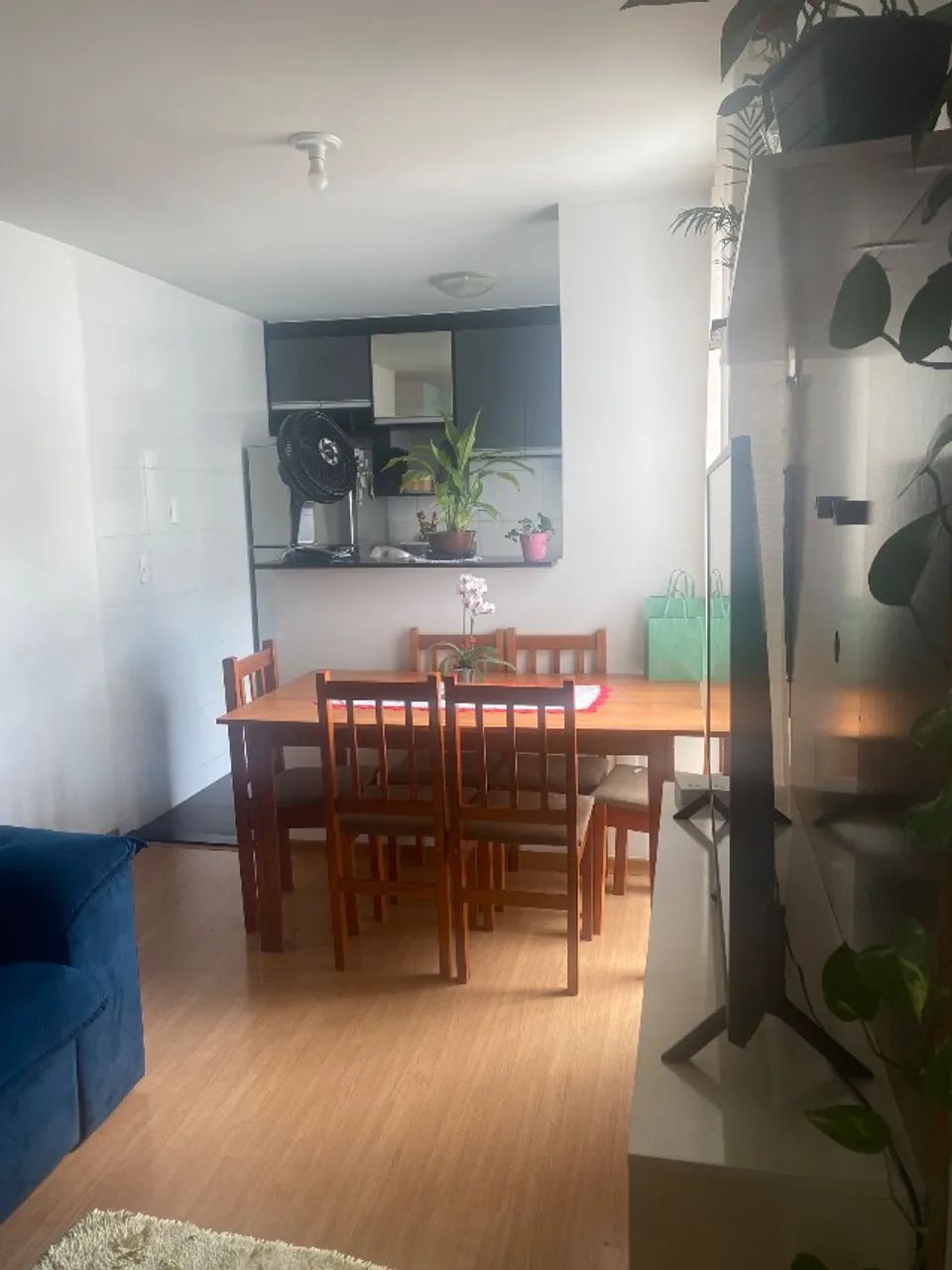 Foto - São José dos Pinhais - Afonso Pena