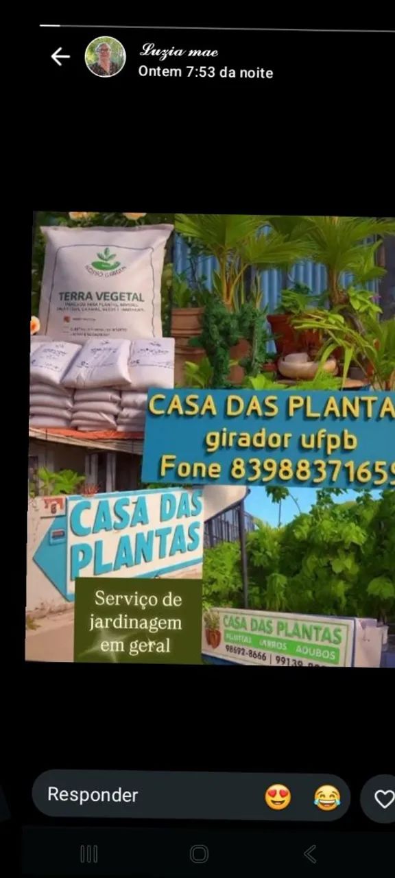 Casa das plantas  - Foto 3