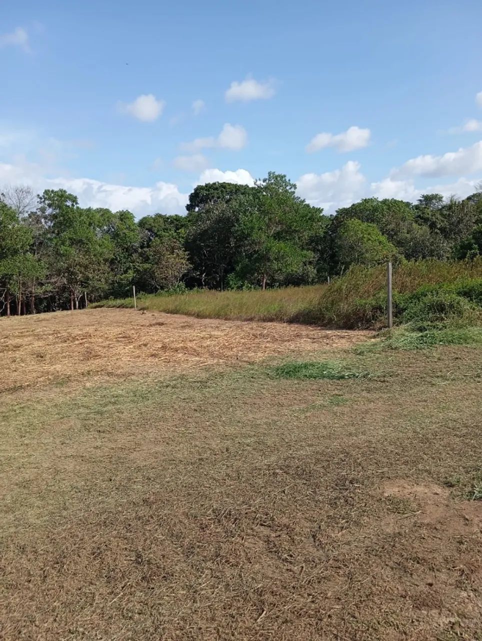 Lote no Terra Nova Bosque 20x100