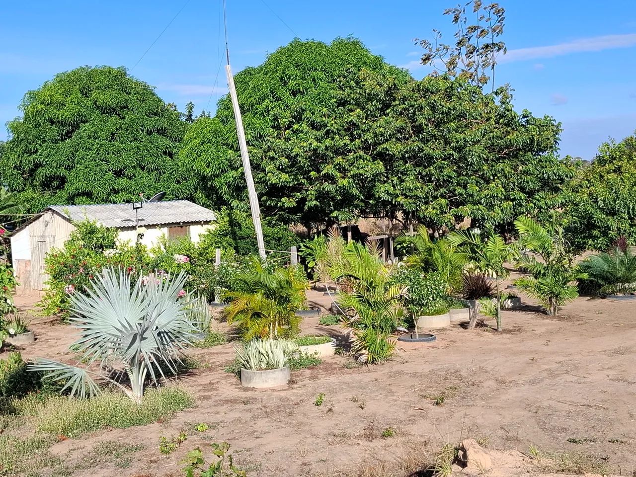 Foto - Boa Vista - Estados