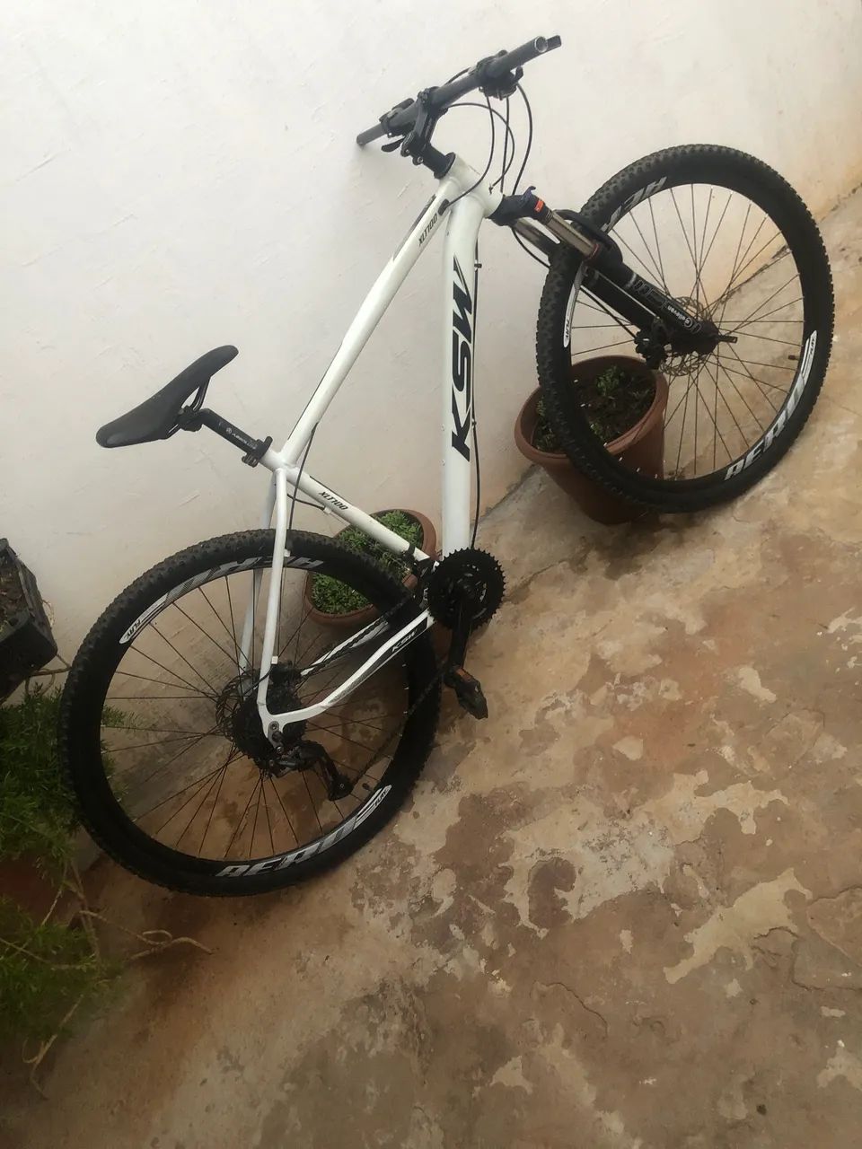Bicicleta 29