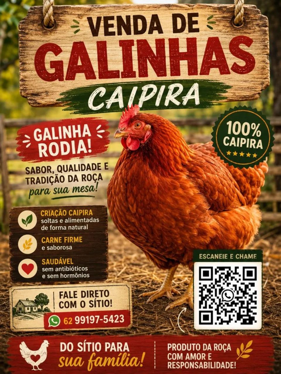 Galinhas caipira 