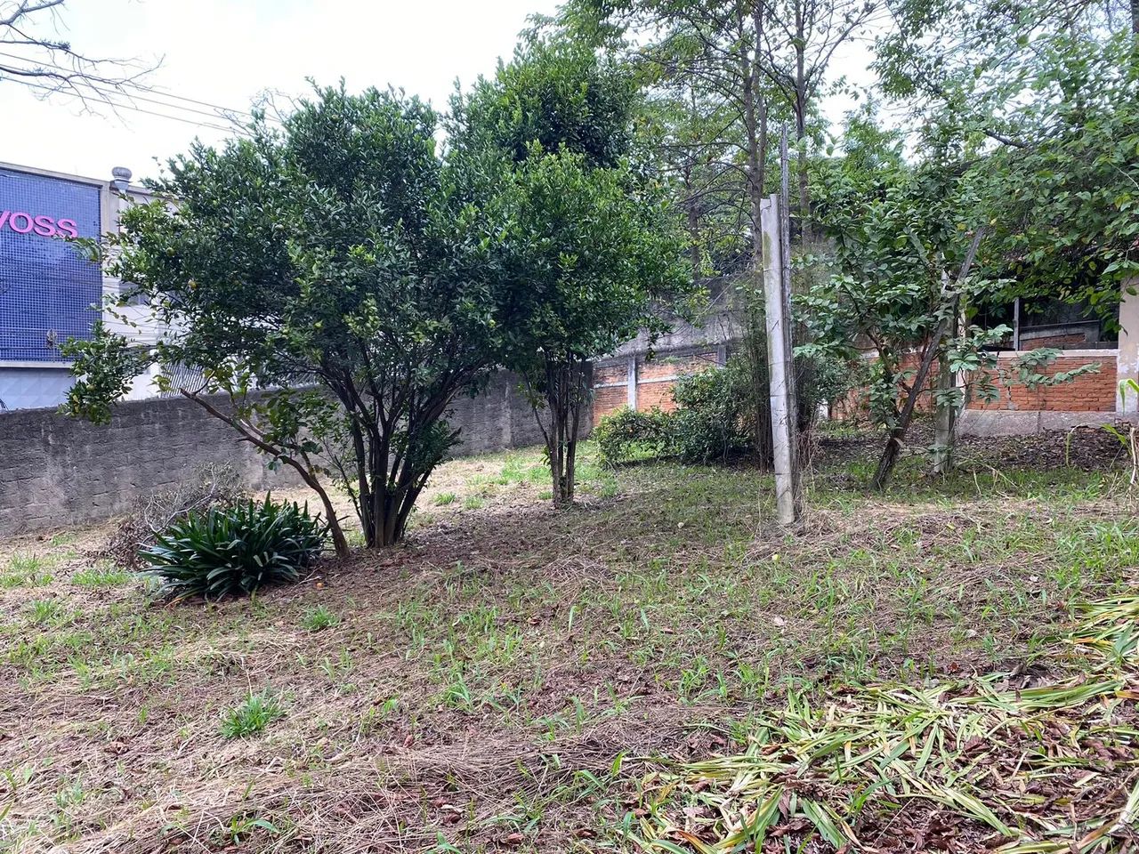 Terrenos e Áreas a venda - Serraria - Foto 5