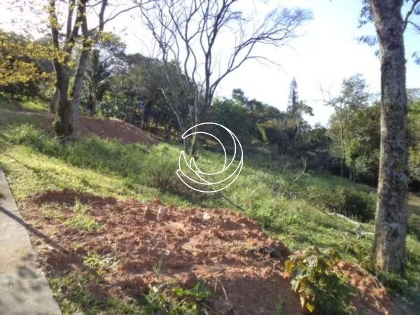Terreno de 1312.48m² no bairro Córrego Grande - Foto 5