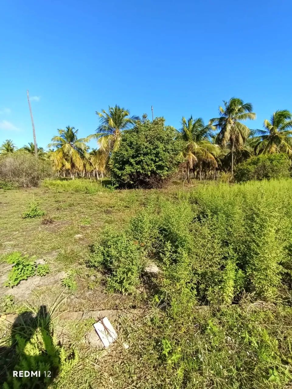 Lote para venda - Pontal do Peba - Foto 4
