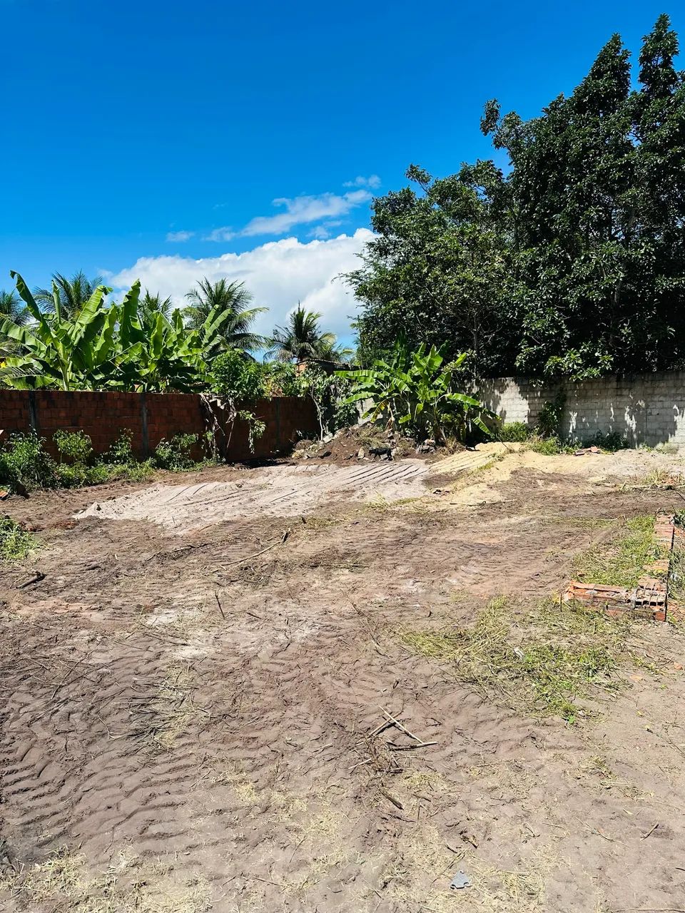 Terreno 12x20 na Paraipaba - Foto 2