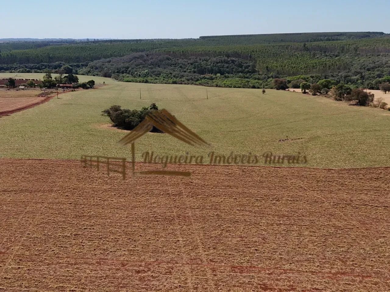 Sitio com 11 alqueires na região de Avaré-SP - Foto 5