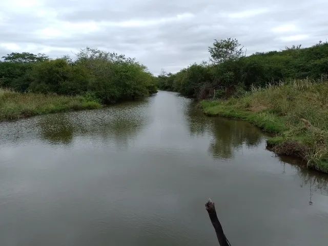 FAZENDA PRÓXIMO À ITAQUARA - 4200 HECTARES - Foto 2