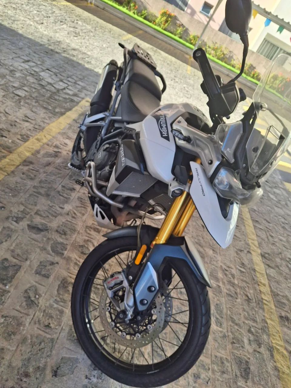 Tiger rally pro  - Foto 2