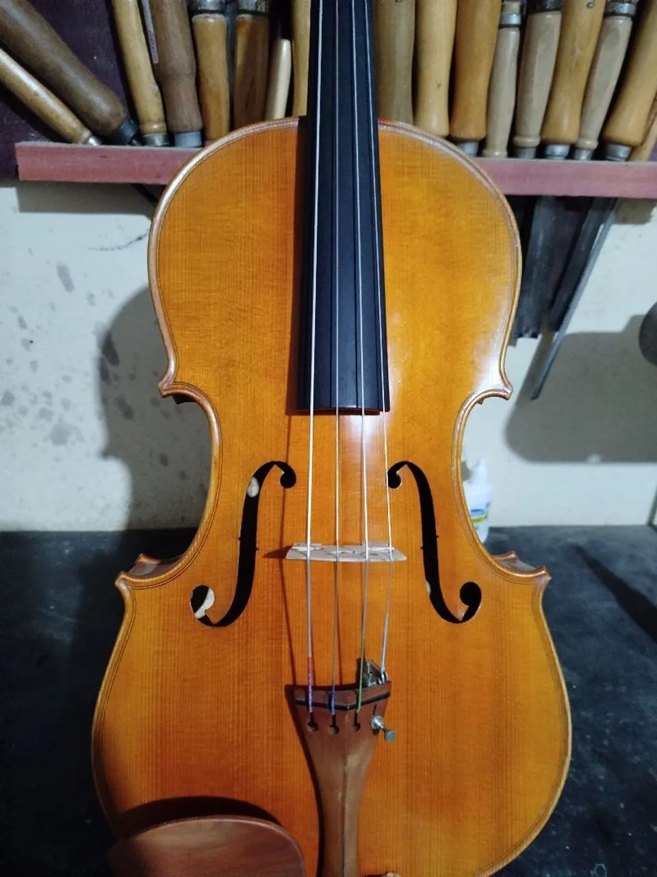 Viola - Foto 2
