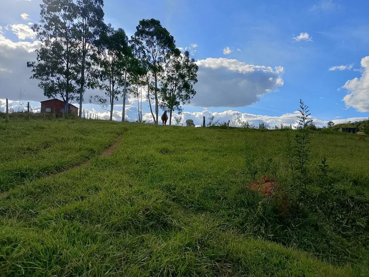 Chácaras próximo a ordália  - Foto 5