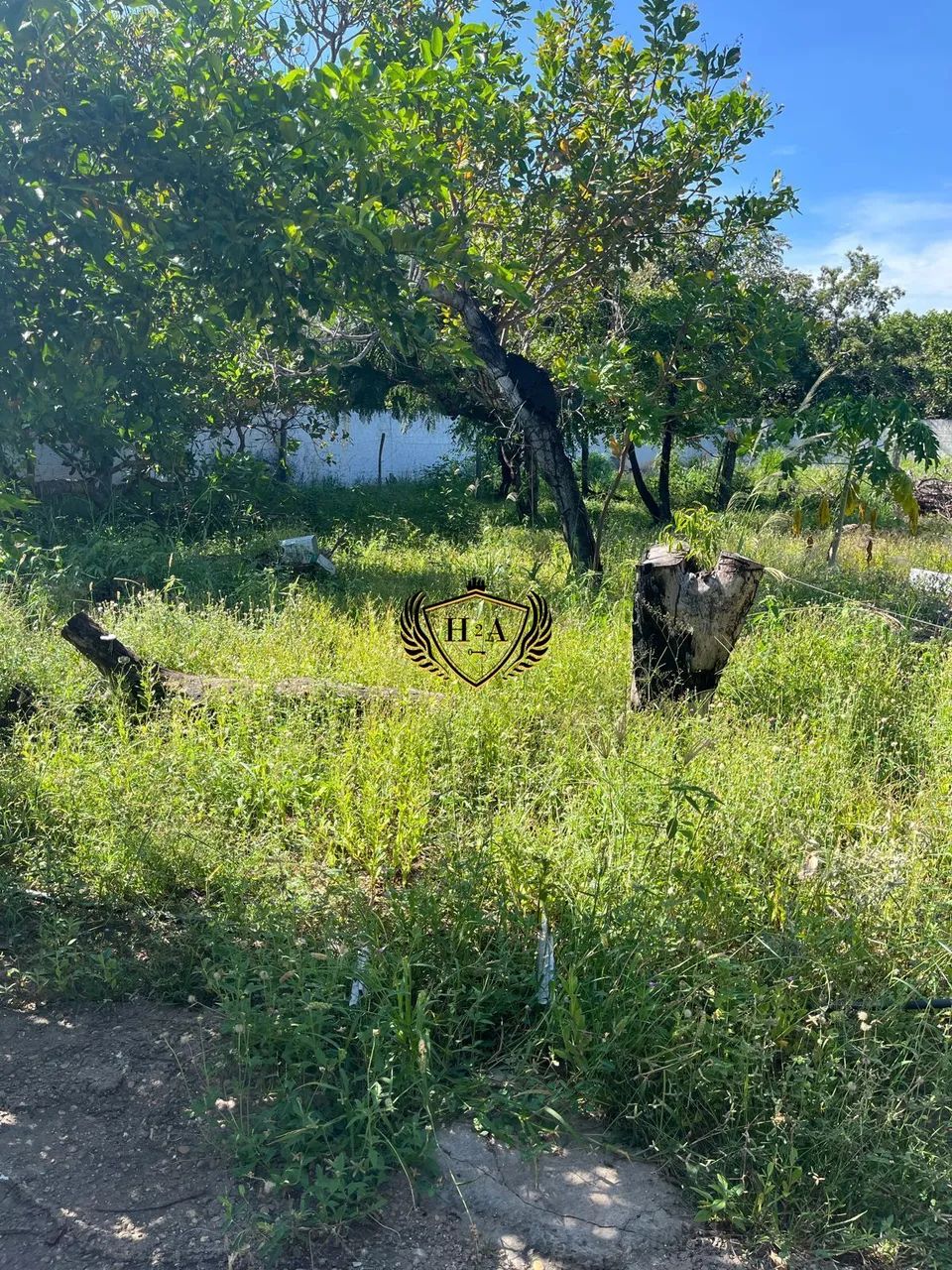 Chácara com 3.200 m² em Santo Antônio do Leverger! - Foto 2