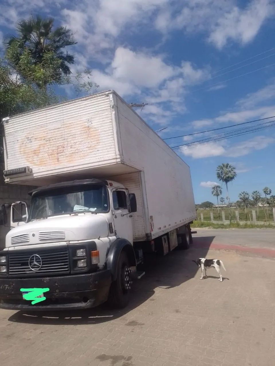 Caminhão 1117