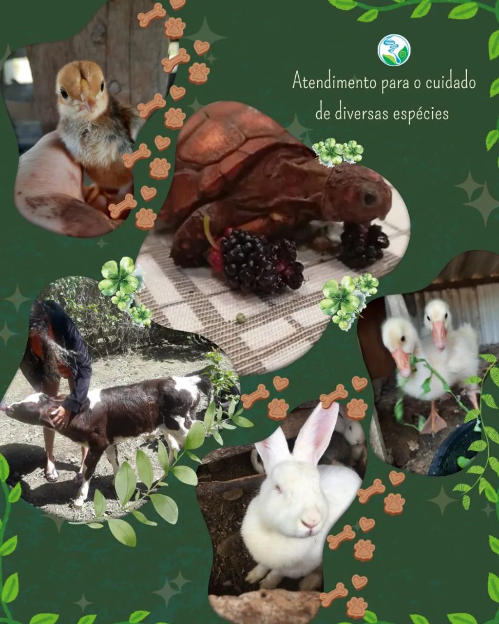 PetSitter - Foto 4