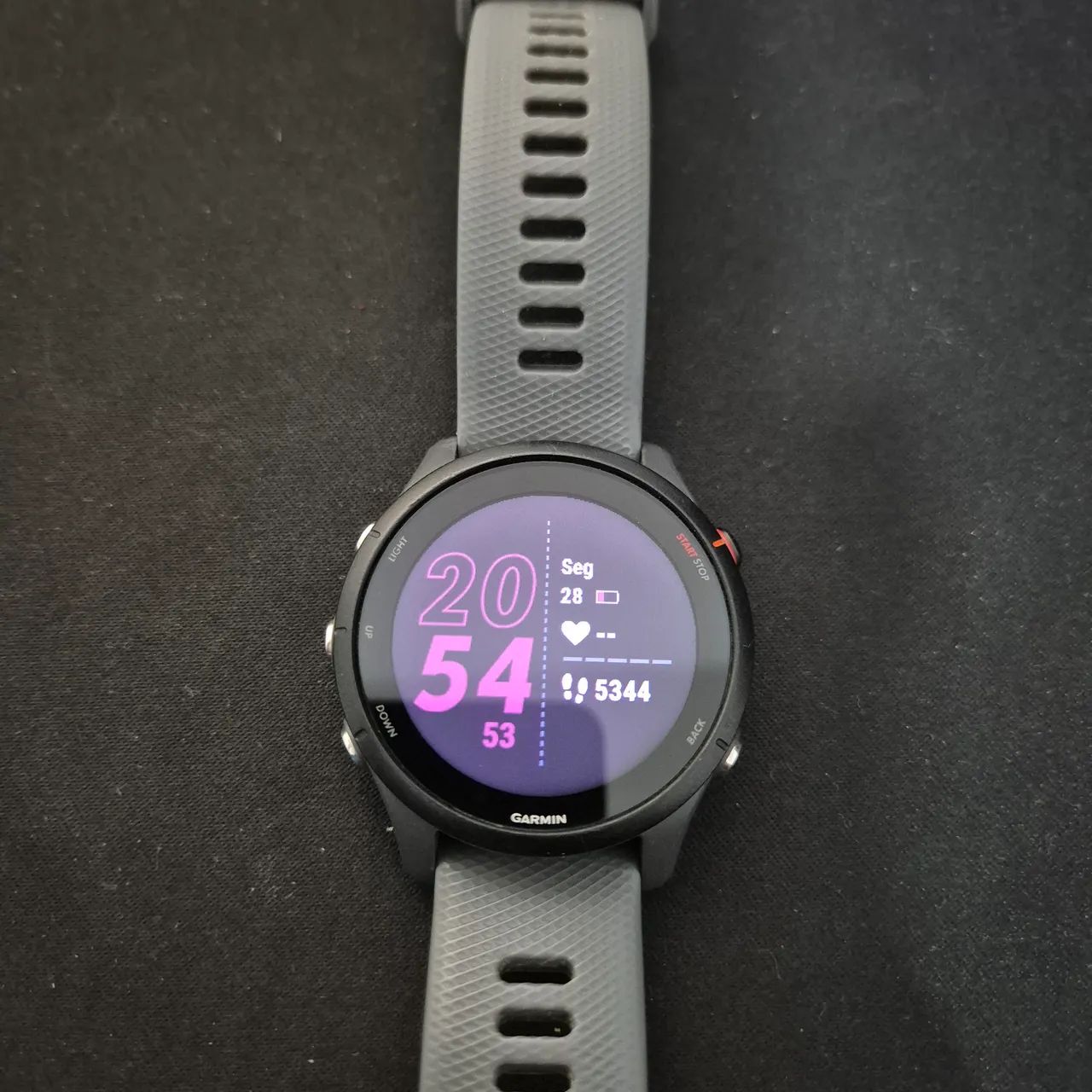 Garmin Forrerunner 255