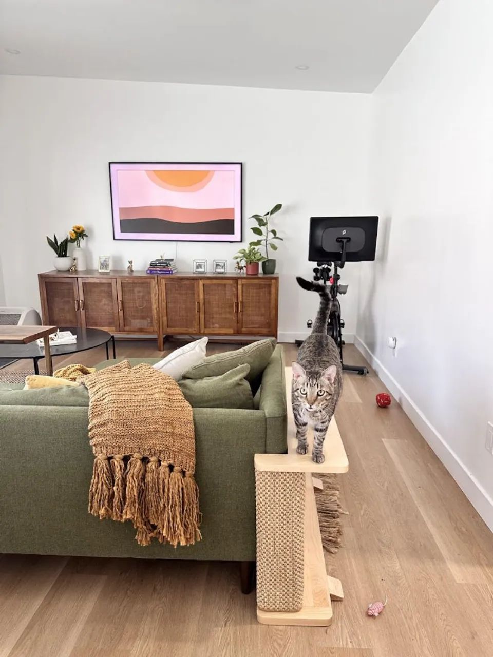 Arranhador e proteção de sofá para gatos. - Foto 6