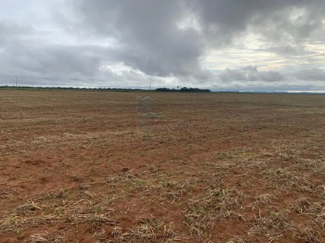 Fazenda 740,5 hectare à venda - Talismã-TO - Foto 2