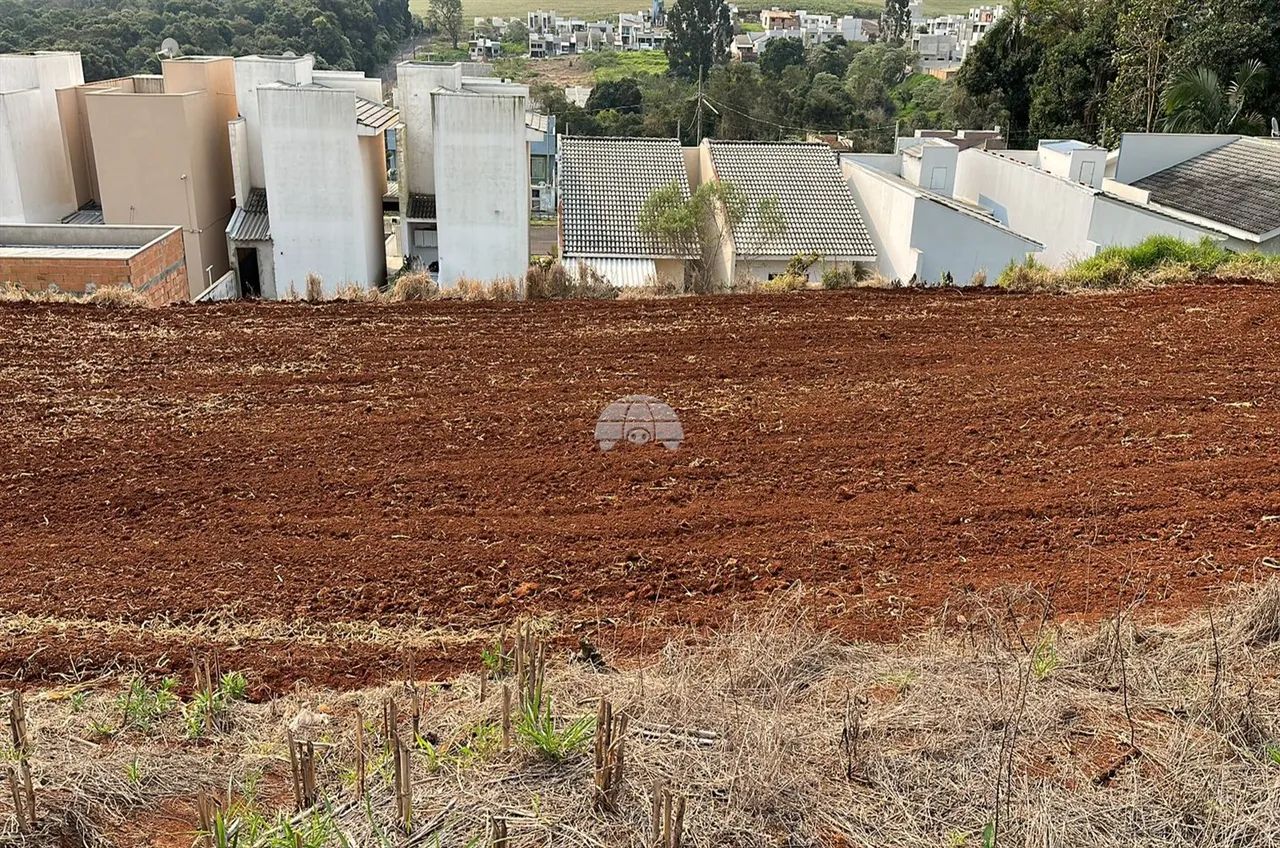 Vendas Terreno Pato Branco PR - Foto 2