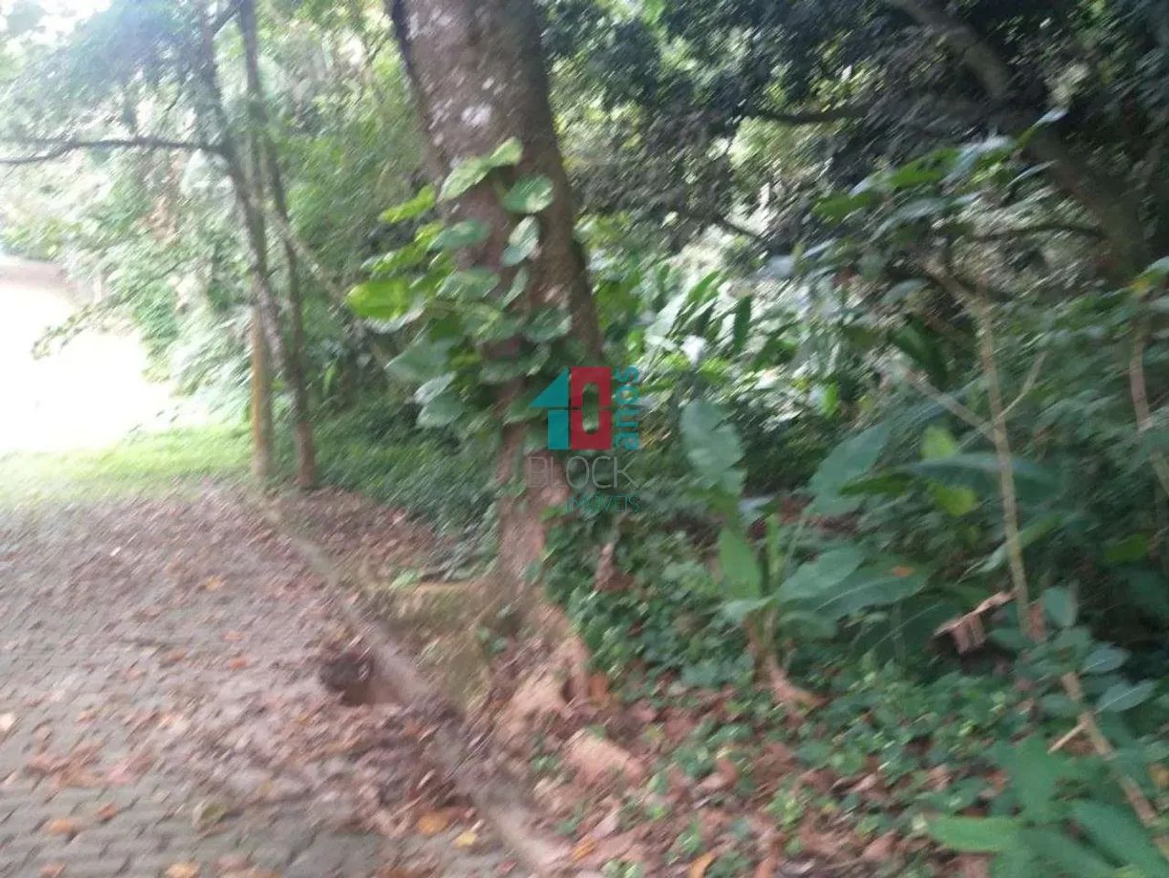 Vargem Pequena | Terreno - Foto 2