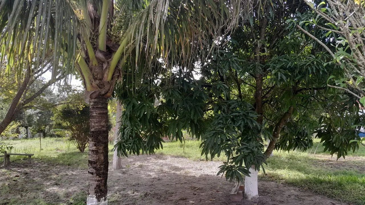 Sitios já todo estruturado - Foto 3