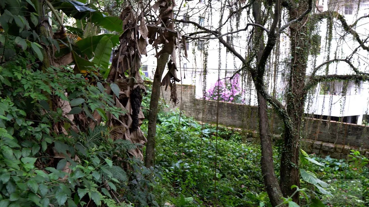 Terreno a venda bairro coqueiros Florianópolis SC. - Foto 4