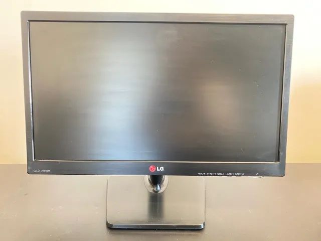 Monitor LG 20EN33 19.5 Polegadas LED - Usado