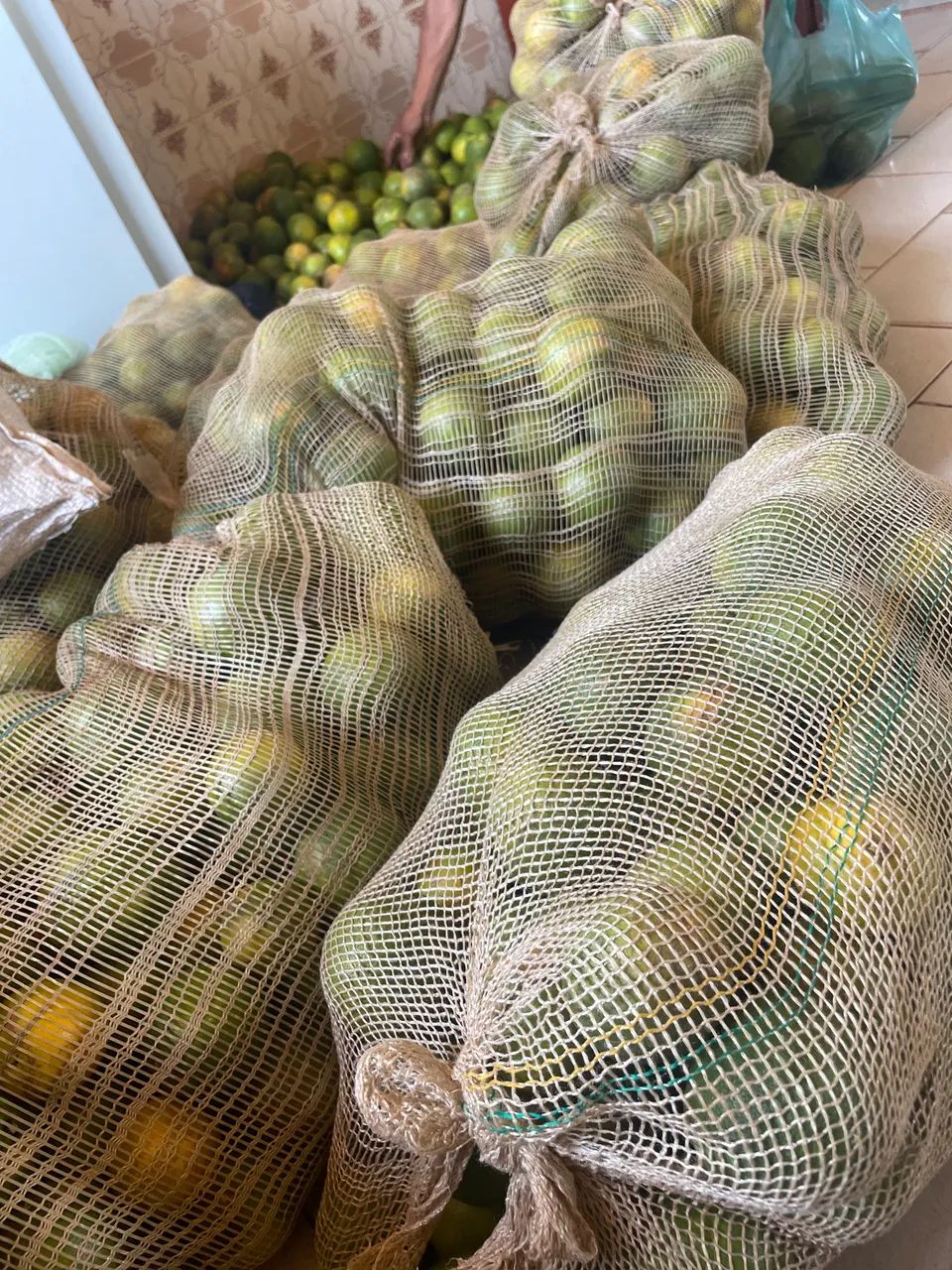 vendo laranja 
