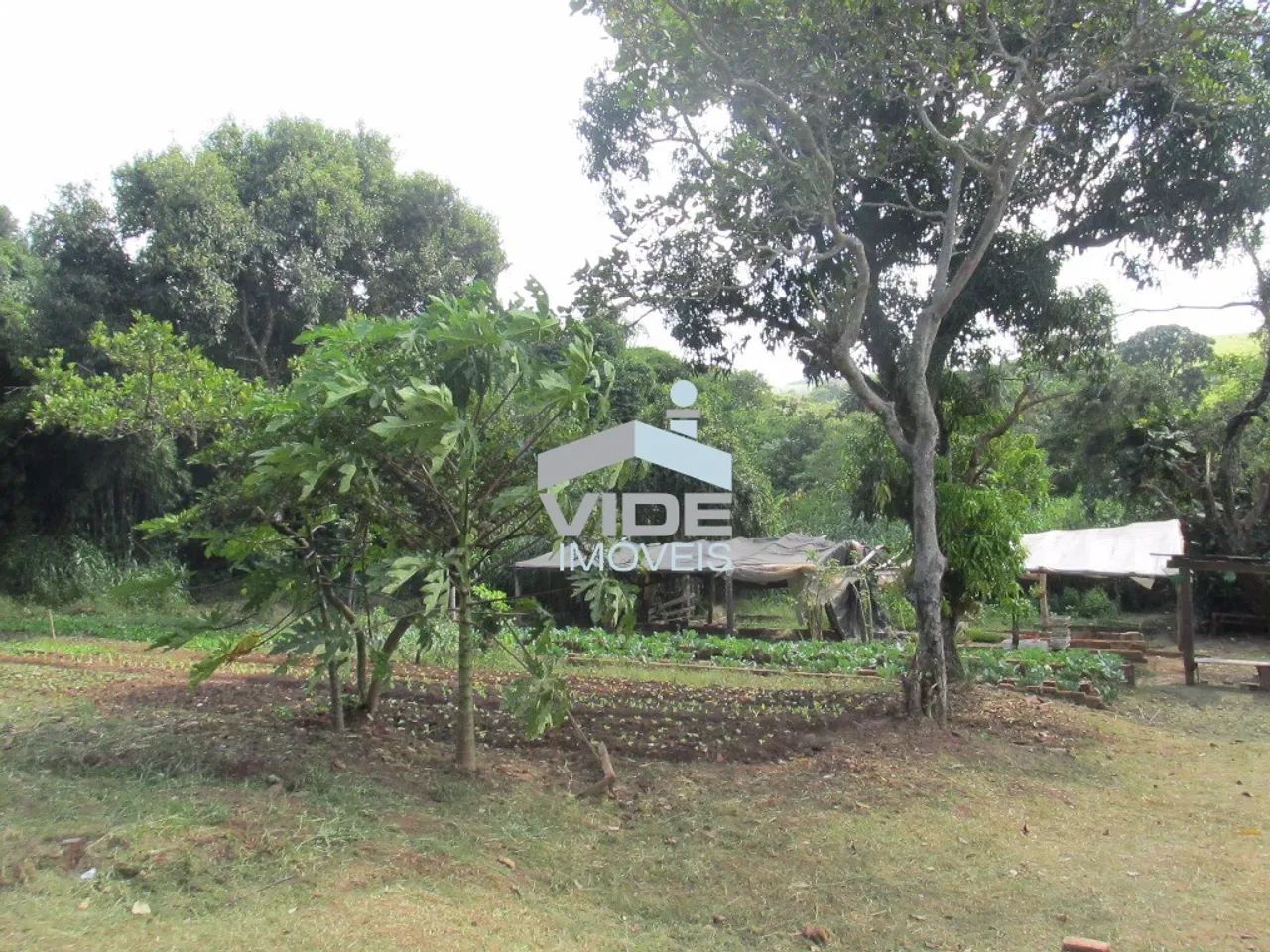 VENDO TERRENO EM CAMPINAS - SOUSAS - Foto 5