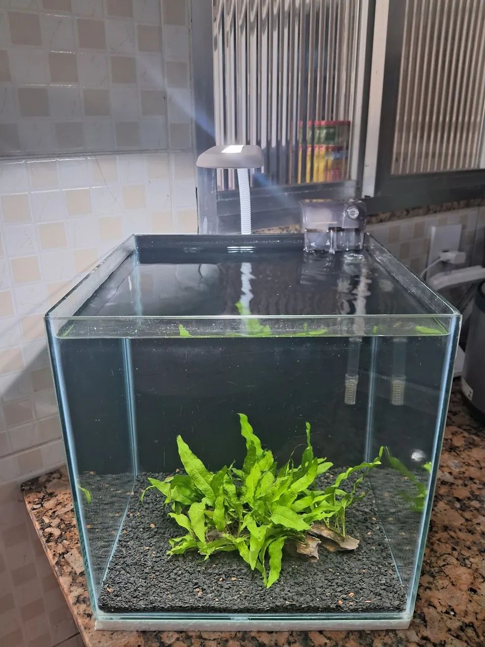Vendo aquário cubo de 27 litros completo