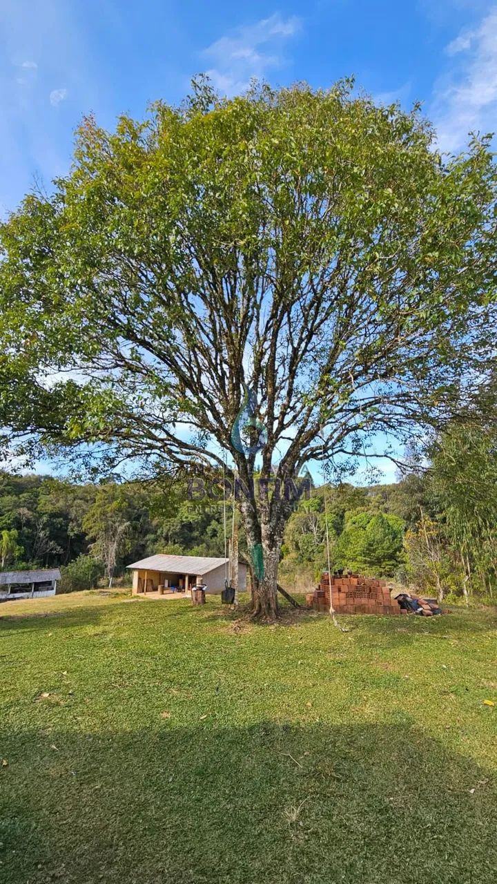 CHÁCARA COM 30.800 m² EM QUITANDINHA  Entrada + Parcelas - Foto 3