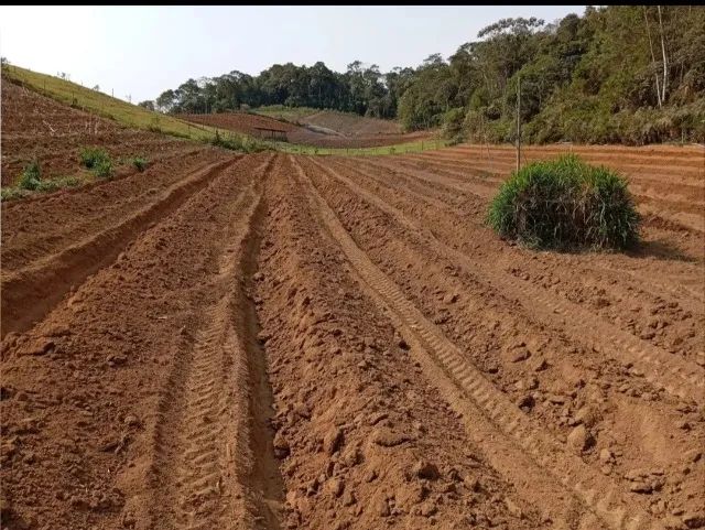 Chácara Um paraíso na terra  - Foto 3