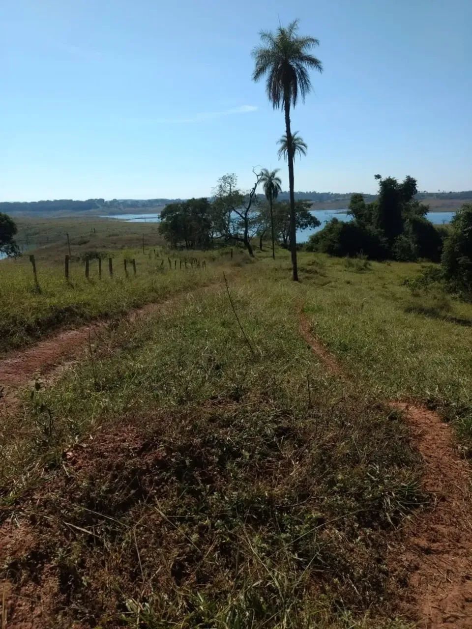 Vendo fazenda Perdizes minas - Foto 4