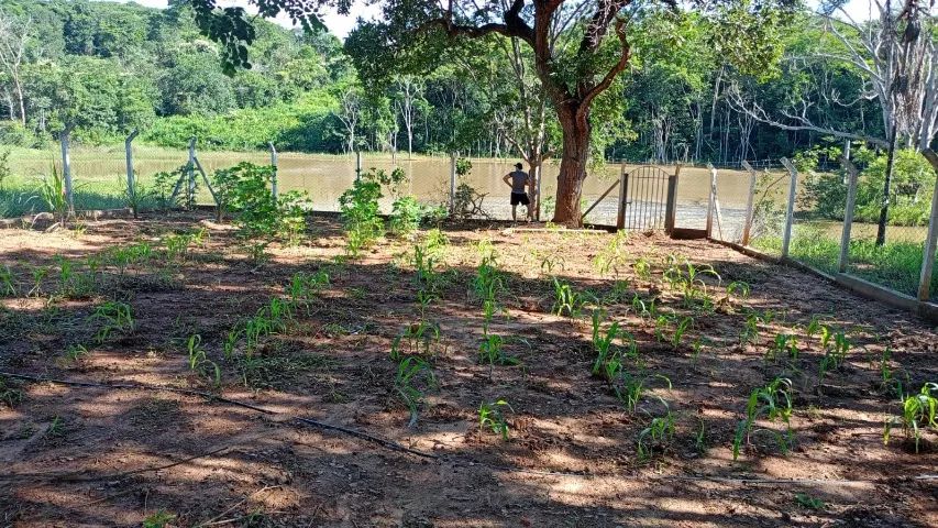 Vende-se chácara no Rochedo  - Foto 4
