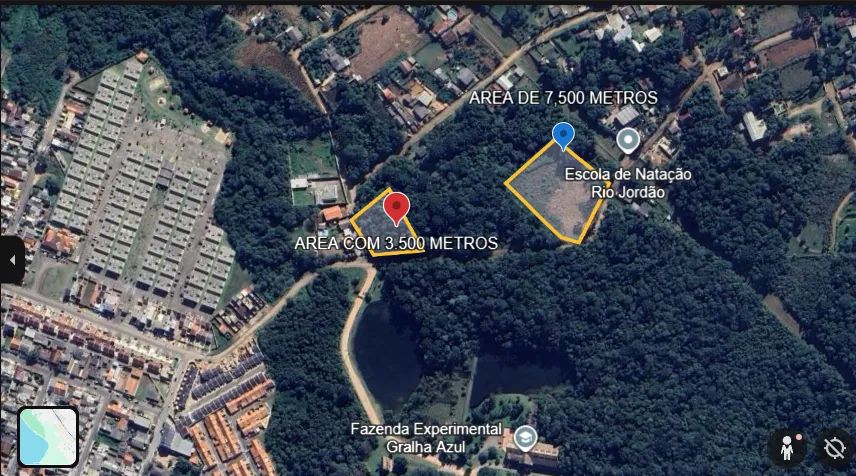Foto - Fazenda Rio Grande - Eucaliptos