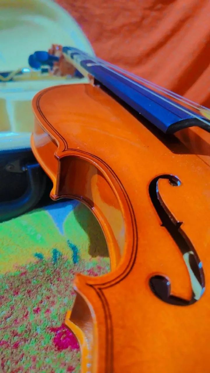 ? violino 