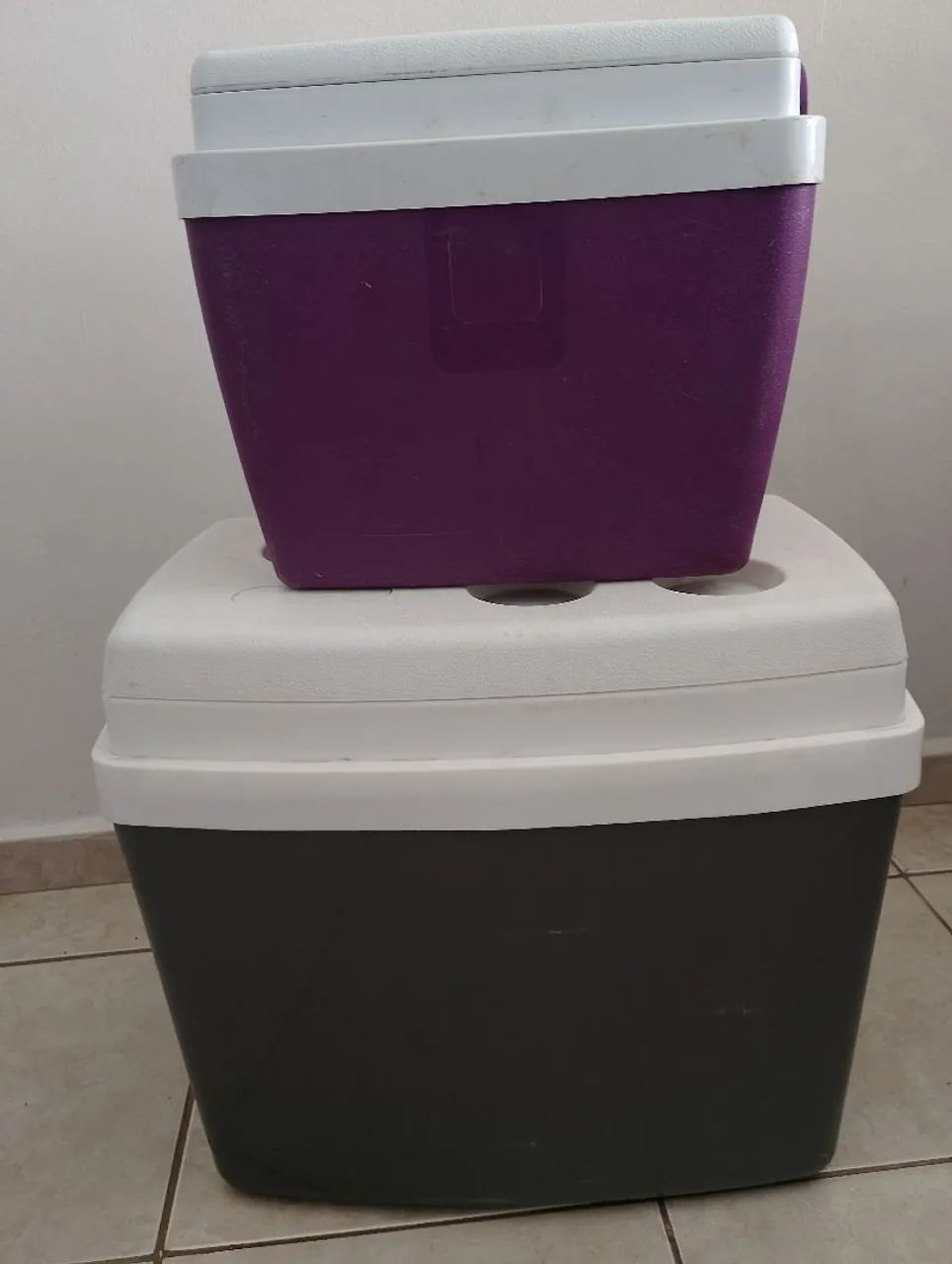 Cooler térmico  os 2 por 99 reais