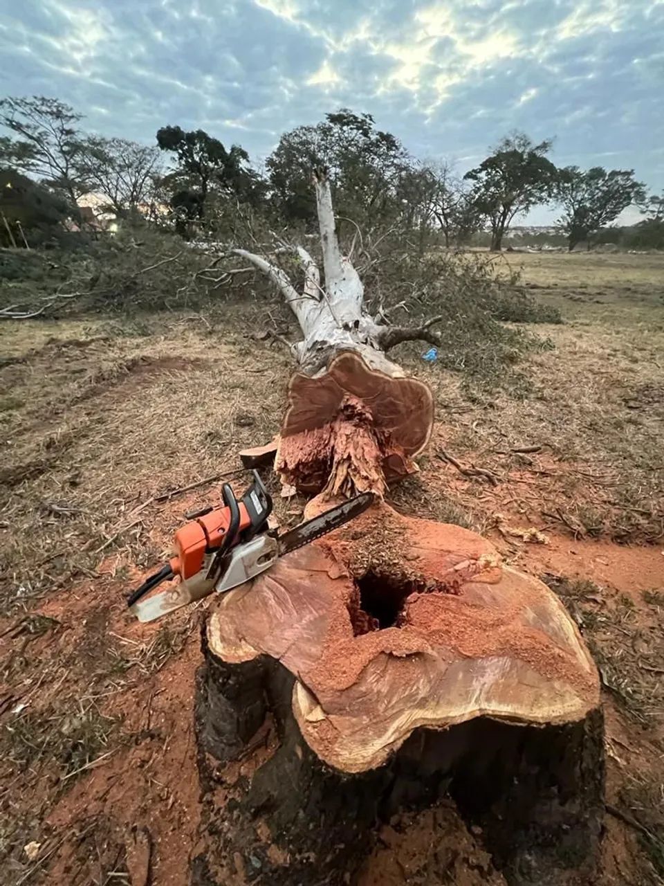 Vende-se  - Foto 2
