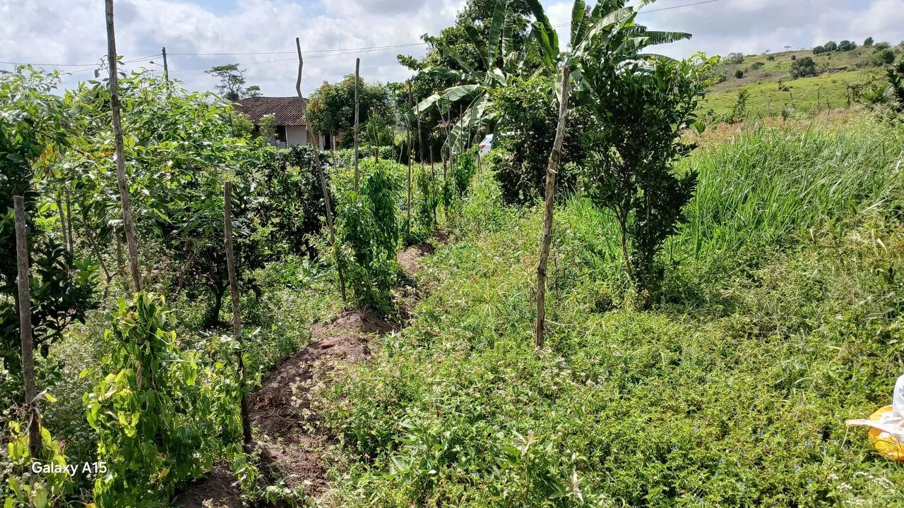 Vendo lote para Chácara R$65.000 - Foto 2