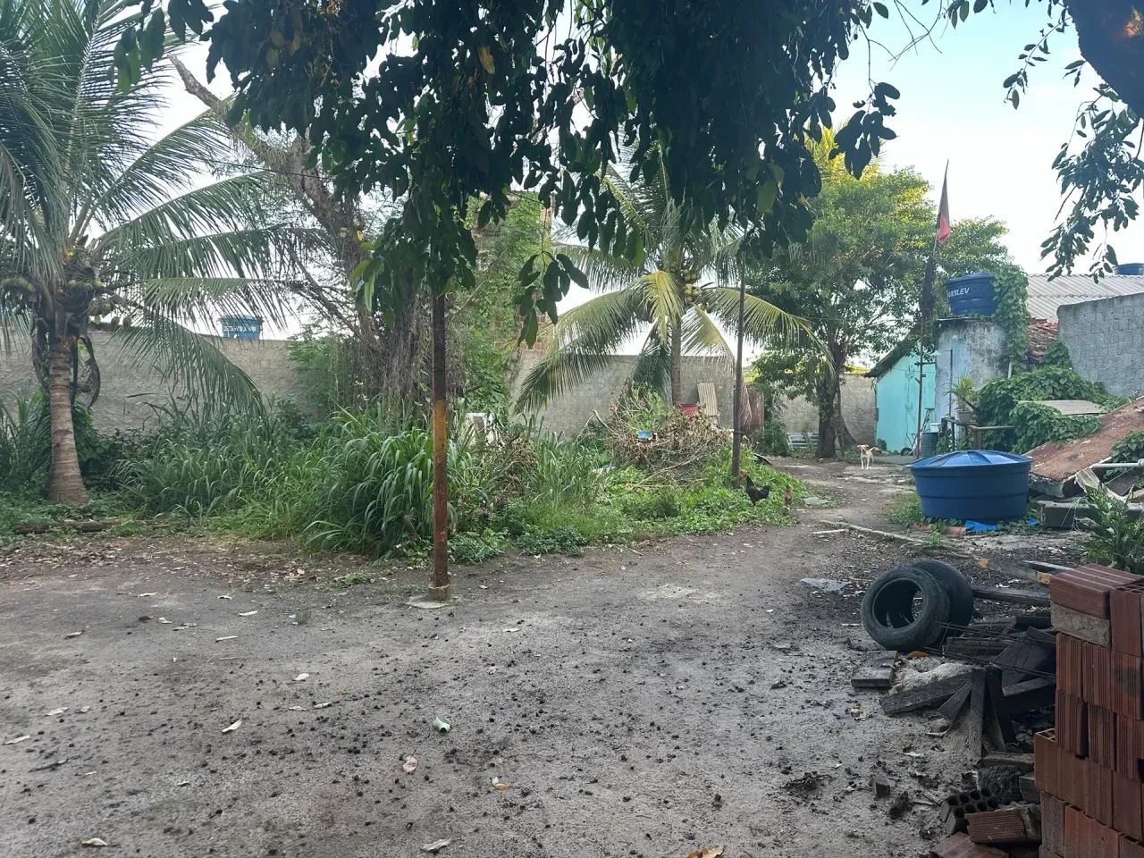 Galpão em Tejipio, 360 m2 + bom Terreno - Foto 3