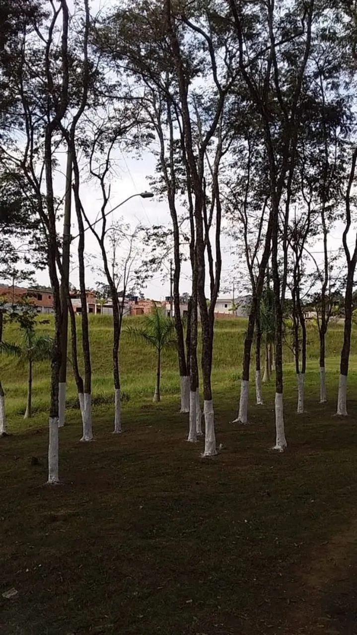 Terreno em Lagoa Grande - Parelheiros - Foto 2