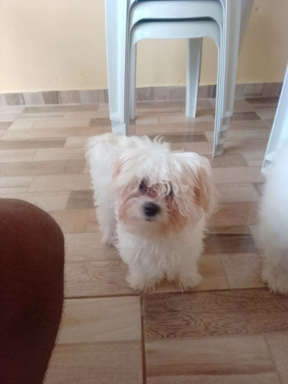 Daniel  - Foto 2