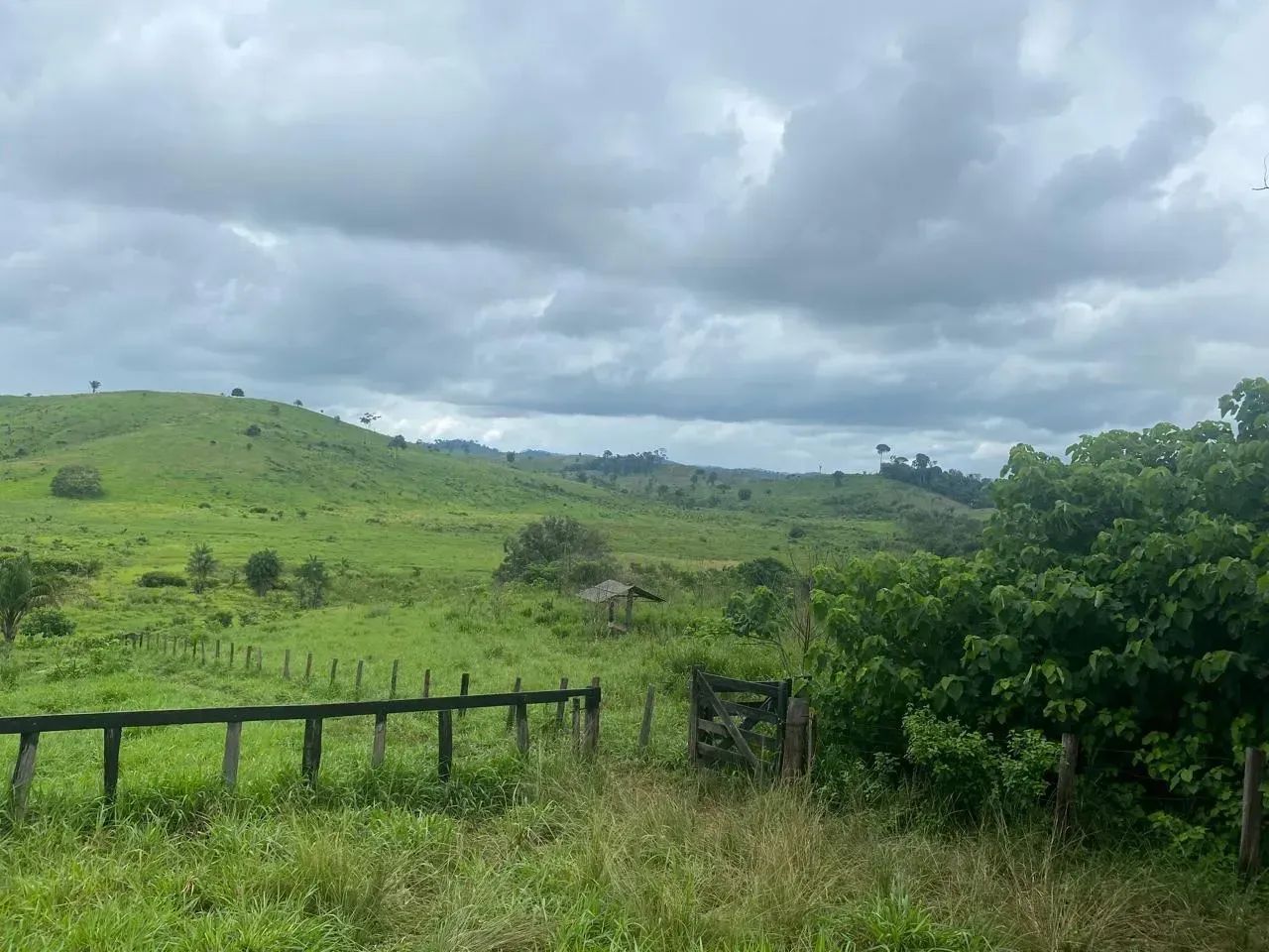 fazenda em Pacajá-PA - Foto 3