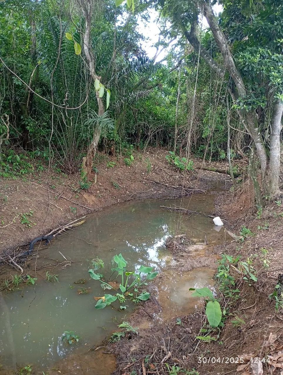 Terreno em Adrianópolis/Jardim Cachoeira  - Foto 3