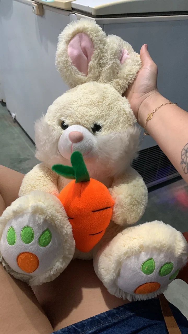 Vendo ursos novos 