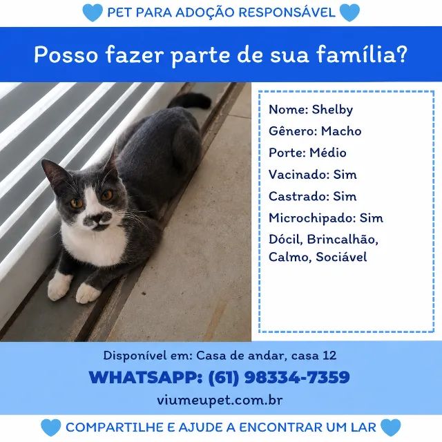 Adoção responsavel