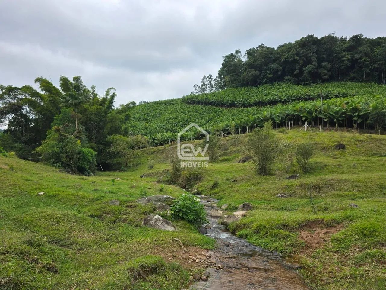 Propriedade Rural com 281.918,07m² em Corupá/SC - Foto 5