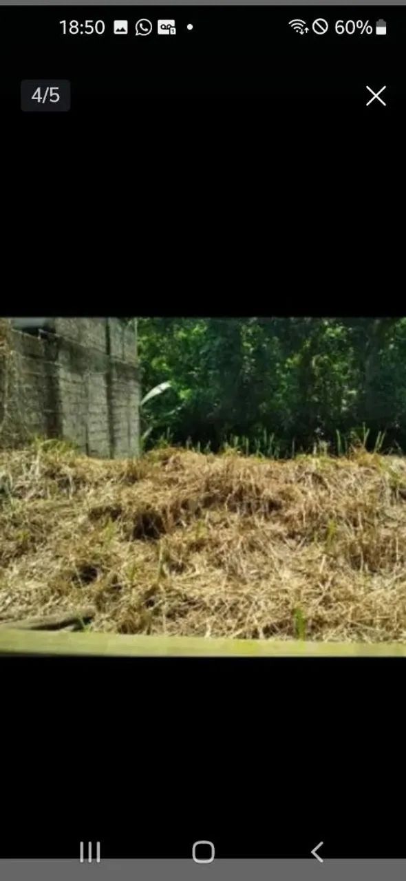 Terreno itacuruça/muriqui - Foto 2